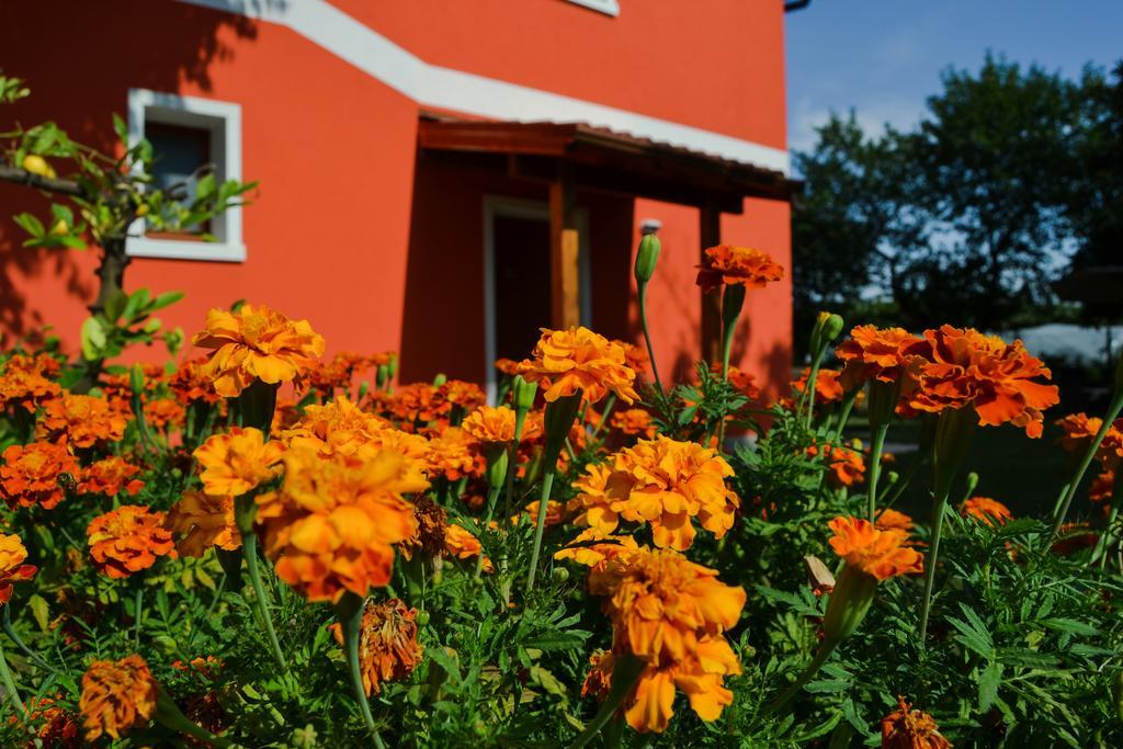 Agriturismo Ca' La Pergola Lugagnano Exteriér fotografie