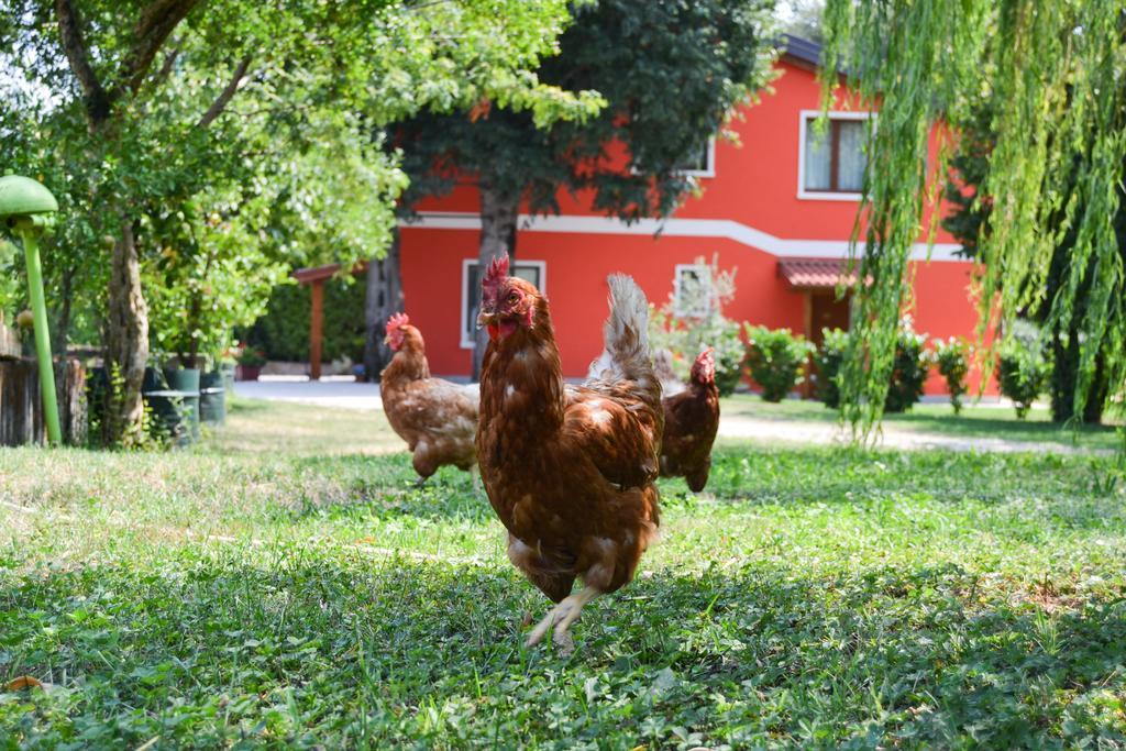 Agriturismo Ca' La Pergola Lugagnano Exteriér fotografie